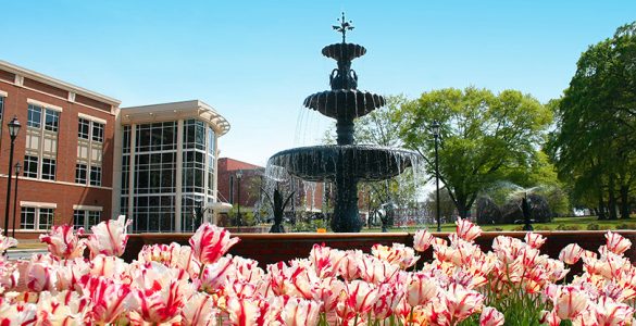 Summerville fountain with spring flowers