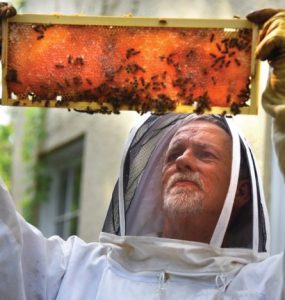 Zach Kelehear examines a honeycomb