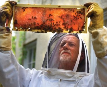 Zach Kelehear examines a honeycomb