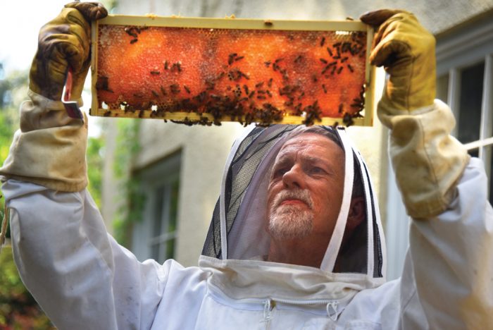 Zach Kelehear examines a honeycomb