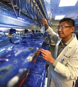 Dr. Yong Teng uses zebrafish in his cancer research. Photo by Phil Jones.