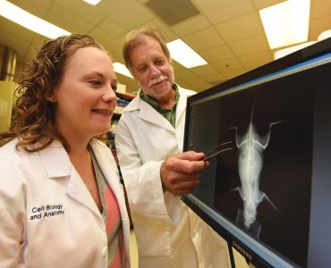 Dr. Meghan E. McGee-Lawrence