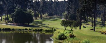 Forest Hills Golf Course Photo by Phil Jones