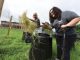 Dr. Donna Wear and Bryauna Barrera (BS '18) sort through compost barrels. Photo by Phil Jones