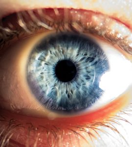 Close-up of blue human eye in strong light