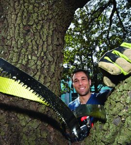 Man looking through tree