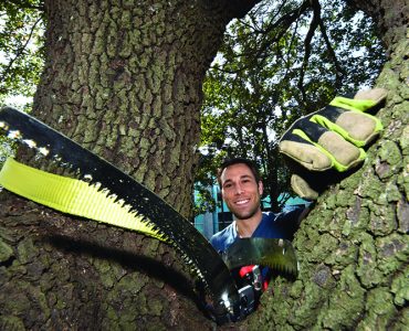 Man looking through tree