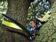 Man looking through tree