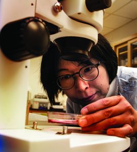 Dr. Maiko Suzuki