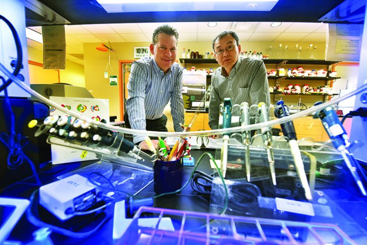 Dr. Joseph Miano and Dr. Lin Gan in lab