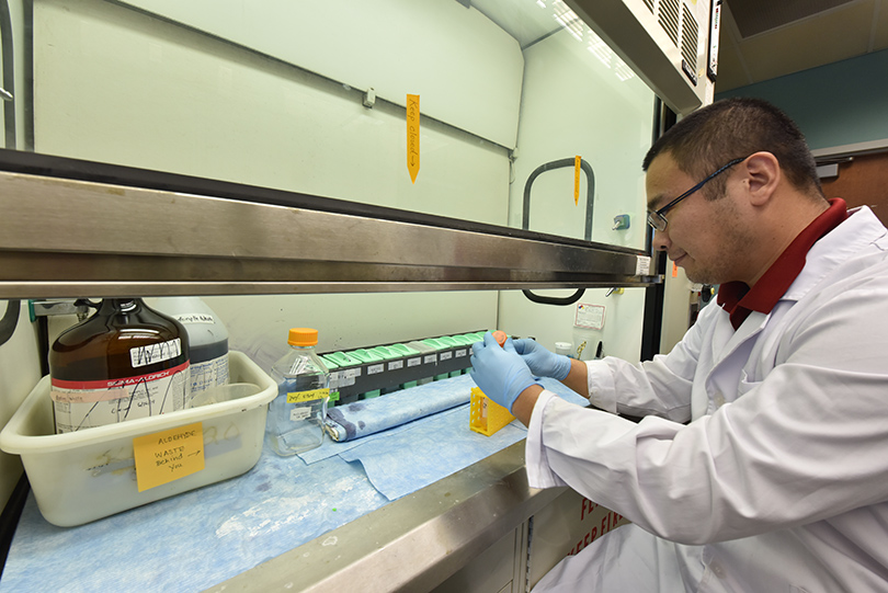 Researcher under fume hood