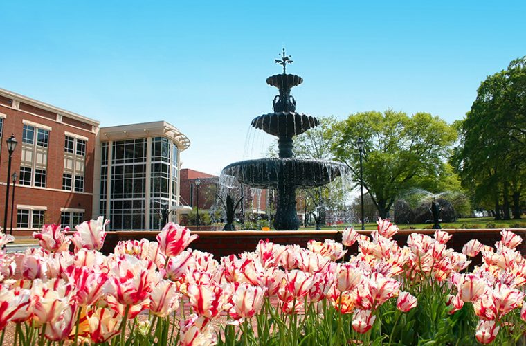 Summerville fountain with spring flowers