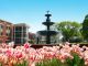 Summerville fountain with spring flowers