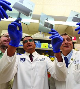 Researchers looking at slides