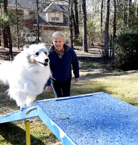 woman with jumping dog