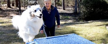 woman with jumping dog