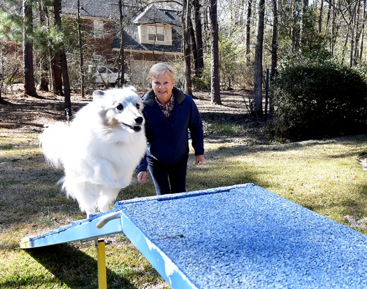 woman with jumping dog