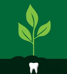 Plant and tooth graphic