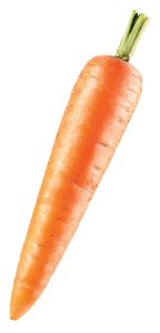 photo of carrot