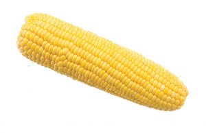 picture of yellow corn