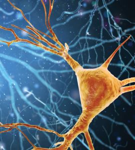 Illustration of brain neuron structure