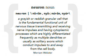 picture of text that says: neuron noun neu· ron | \ nü-rän , nyü-; nu̇r-än, nyu̇r-\ a grayish or reddish granular cell that is the fundamental functional unit of nervous tissue transmitting and receiving nerve impulses and having cytoplasmic processes which are highly differentiated frequently as multiple dendrites or usually as solitary axons which conduct impulses to and away from the cell body. - Merriam Webster