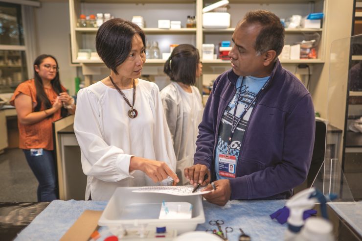 Dr. Qi Wang, left, talks with Dr. Hasibur Rehman as they work in her lab