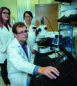 Dr. Zsolt Bagi photographed in his lab with August University graduate student Katie Anne Fopiano, left, and research assistant Yanna Tian, right