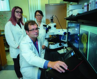 Dr. Zsolt Bagi photographed in his lab with August University graduate student Katie Anne Fopiano, left, and research assistant Yanna Tian, right