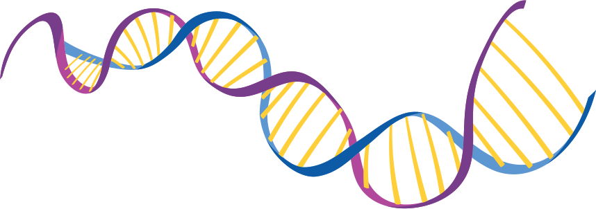 artistic rendering of a dna strand.